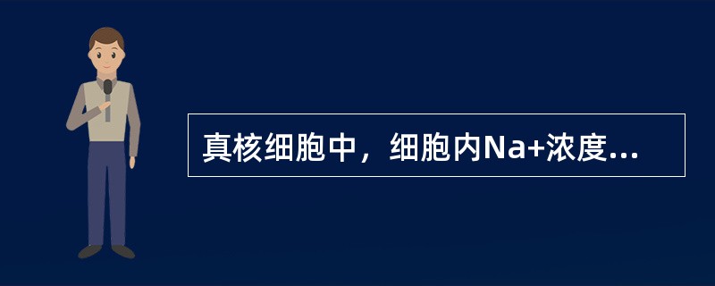 真核细胞中，细胞内Na+浓度比细胞外（），细胞内K+浓度比细胞外（）。