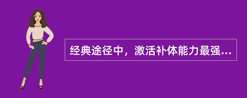 经典途径中，激活补体能力最强的免疫球蛋白是（）