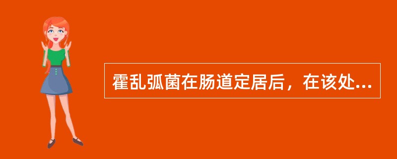 霍乱弧菌在肠道定居后，在该处繁殖并产生致泻性极强的毒素，使患者出现严重的水样腹泻