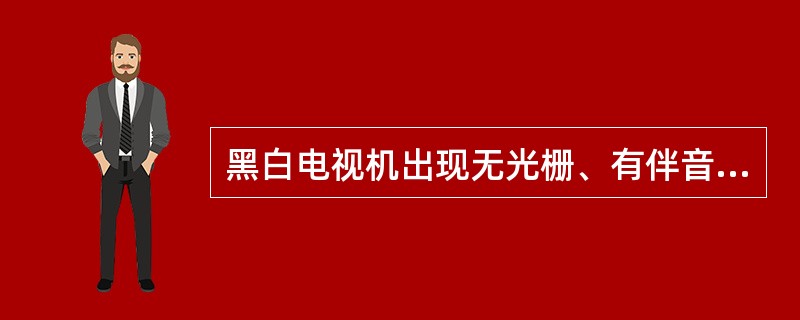 黑白电视机出现无光栅、有伴音故障时，应检查的电路是（）。