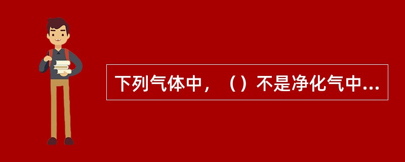 下列气体中，（）不是净化气中的成分。