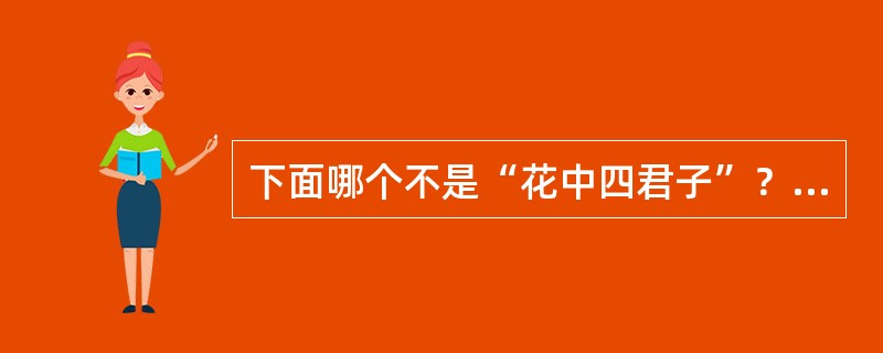 下面哪个不是“花中四君子”？（）
