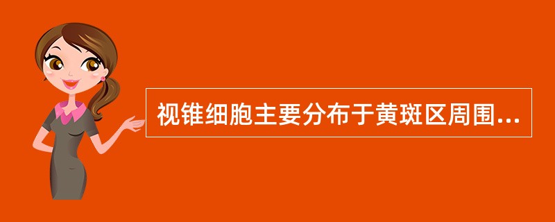 视锥细胞主要分布于黄斑区周围30°以内，其中黄斑中心凹只有视锥细胞，没有视杆细胞