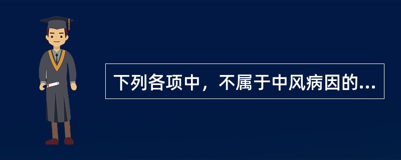 下列各项中，不属于中风病因的是（）