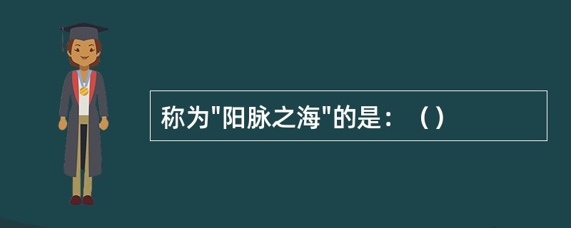 称为"阳脉之海"的是：（）