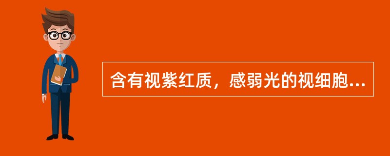 含有视紫红质，感弱光的视细胞是（）。