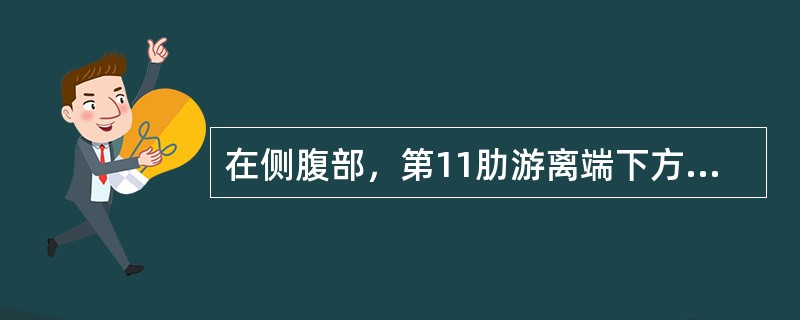 在侧腹部，第11肋游离端下方的腧穴是：（）