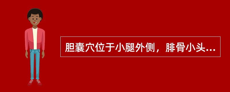 胆囊穴位于小腿外侧，腓骨小头直下（）