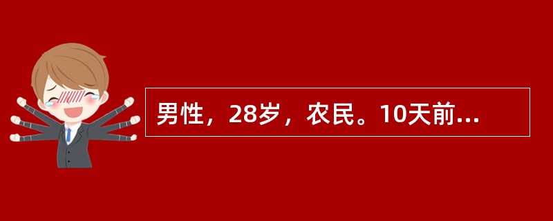 男性，28岁，农民。10天前捕鼠时被鼠咬伤，发热、头痛、腰痛3日，最高体温39.