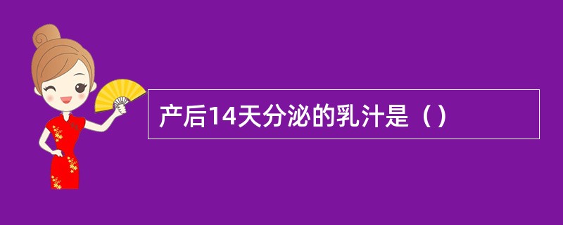 产后14天分泌的乳汁是（）