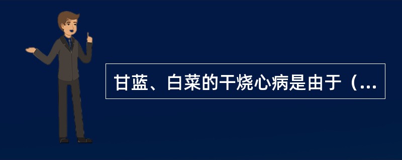 甘蓝、白菜的干烧心病是由于（）。