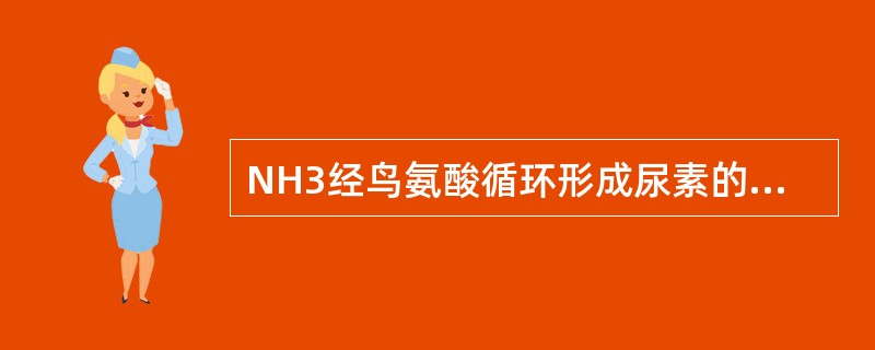 NH3经鸟氨酸循环形成尿素的主要生理意义是（）