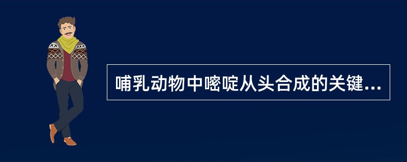 哺乳动物中嘧啶从头合成的关键酶是（）