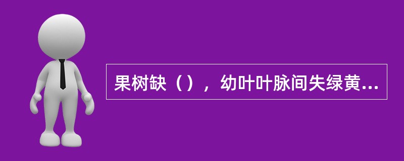 果树缺（），幼叶叶脉间失绿黄化，叶脉仍保持绿色，直到完全失绿，严重时整个叶片呈黄