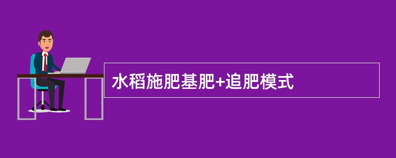 水稻施肥基肥+追肥模式