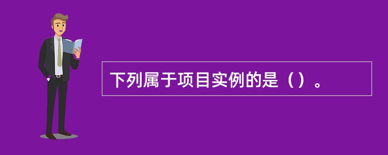 下列属于项目实例的是（）。