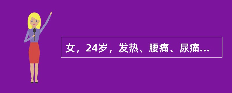 女，24岁，发热、腰痛、尿痛、尿急、尿频1天来院就诊。尿液检查：尿红细胞5～10