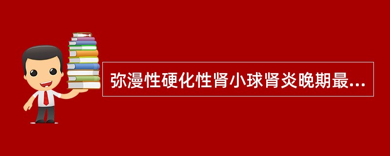 弥漫性硬化性肾小球肾炎晚期最主要的病变是：（）