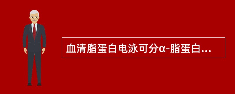 血清脂蛋白电泳可分α-脂蛋白、前β-脂蛋白、β-脂蛋白及CM四个条带，α-脂蛋白