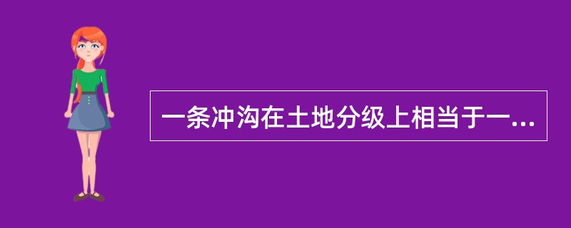 一条冲沟在土地分级上相当于一个（）；而一个黄土梁坡则相当于一个（）。