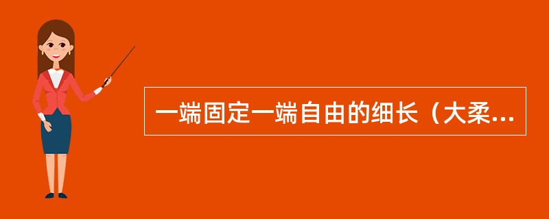 一端固定一端自由的细长（大柔度）压杆，长为L（如图a）所示，当杆的长度减小一半时