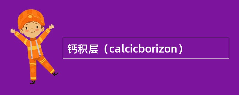 钙积层（calcicborizon）