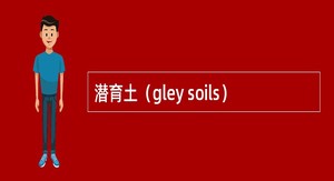 潜育土（gley soils）