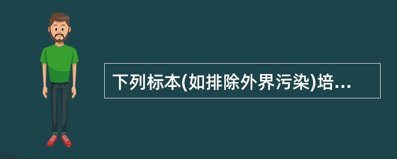 下列标本(如排除外界污染)培养出细菌即有确诊意义的是()