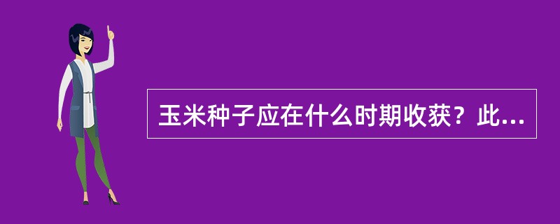 玉米种子应在什么时期收获？此时期的标志是什么？