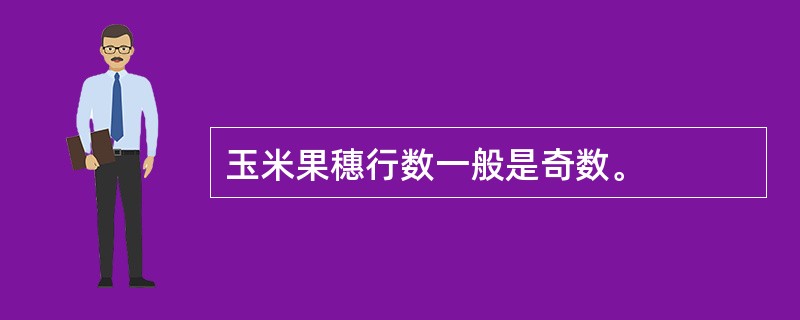 玉米果穗行数一般是奇数。