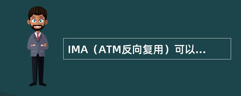 IMA（ATM反向复用）可以用在哪个接口上？（）