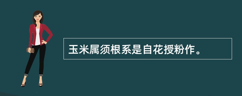 玉米属须根系是自花授粉作。