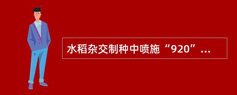 水稻杂交制种中喷施“920”一般可使亲本推迟抽穗2-3天。