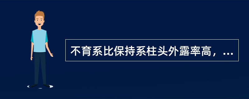 不育系比保持系柱头外露率高，保持系比不育系结实率高。