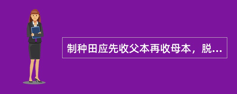 制种田应先收父本再收母本，脱粒时先脱父本再脱母本。