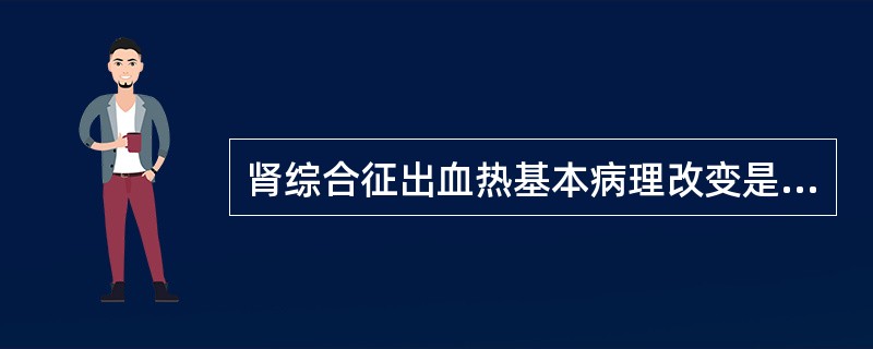 肾综合征出血热基本病理改变是（）。