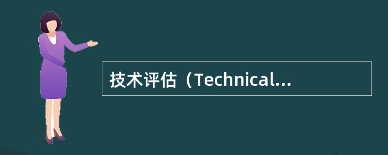 技术评估（Technical Evaluation）