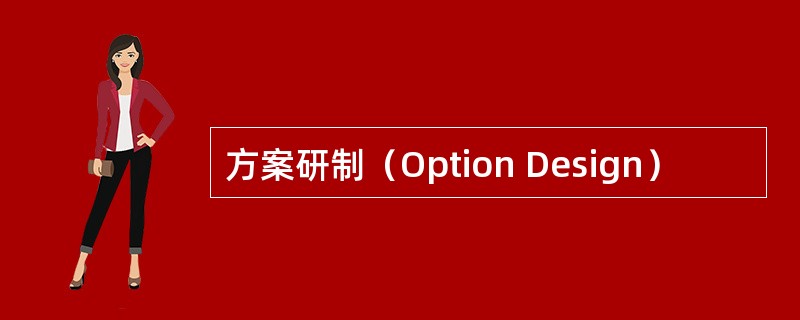 方案研制（Option Design）