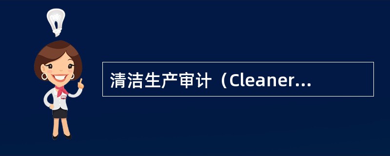 清洁生产审计（Cleaner Production Audit）