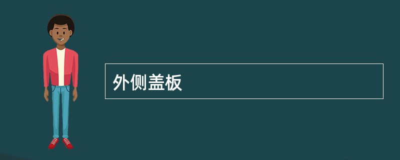 外侧盖板