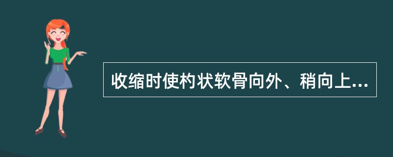 收缩时使杓状软骨向外、稍向上，使声带外展，声门变大的是：（）