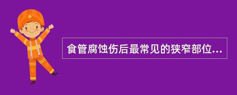 食管腐蚀伤后最常见的狭窄部位是：（）