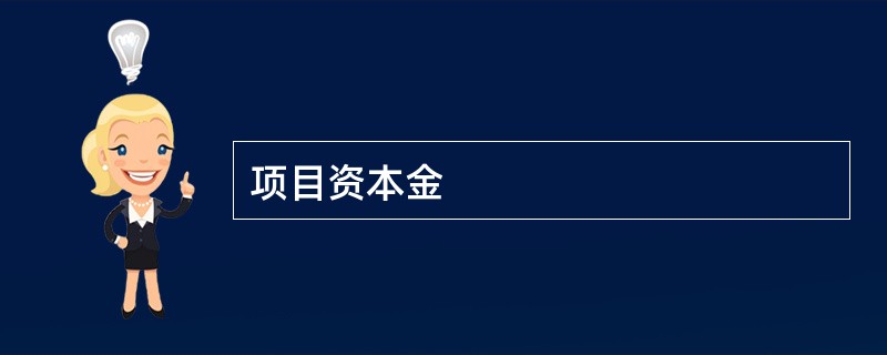 项目资本金