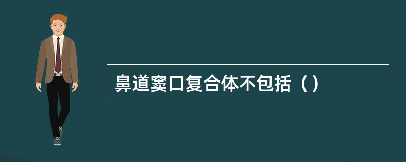 鼻道窦口复合体不包括（）