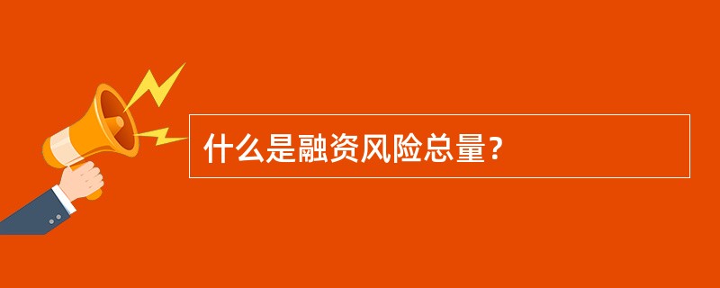 什么是融资风险总量？