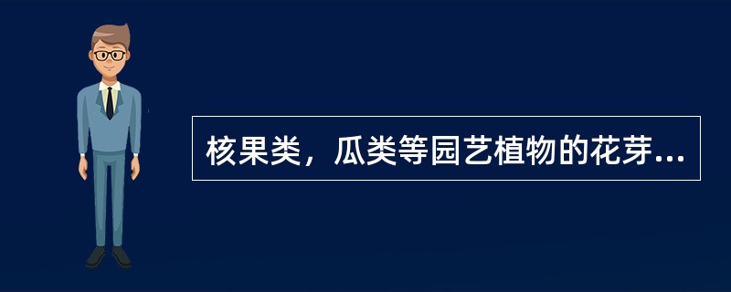 核果类，瓜类等园艺植物的花芽为（）