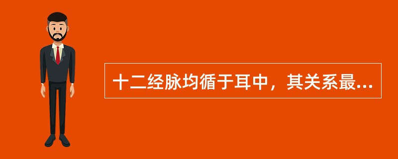 十二经脉均循于耳中，其关系最为密切的经脉是（）