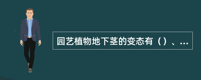 园艺植物地下茎的变态有（）、（）、（）、（）.块茎：如（）根状茎：如（）、（）、