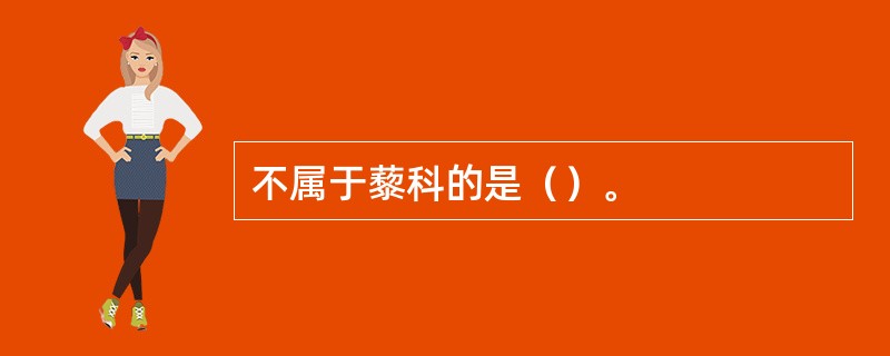 不属于藜科的是（）。