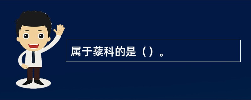 属于藜科的是（）。